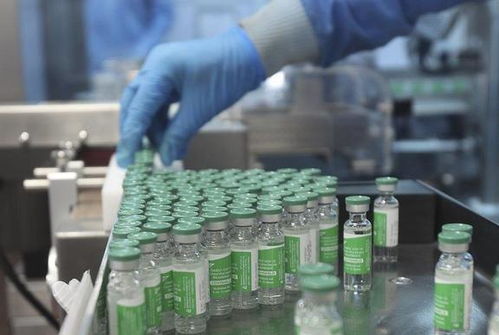 印度血清研究所 世界疫苗生產巨頭的核心技術困境